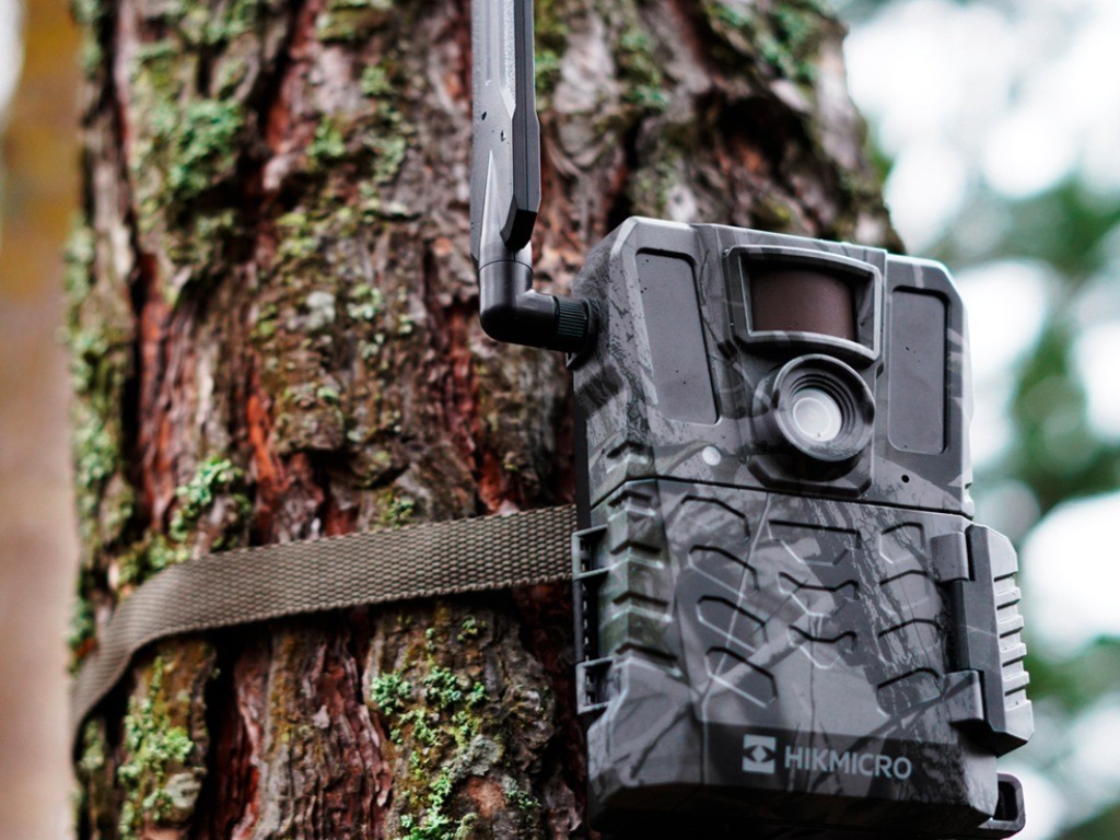 Cámara HIKMICRO de fototrampeo M15 4G
