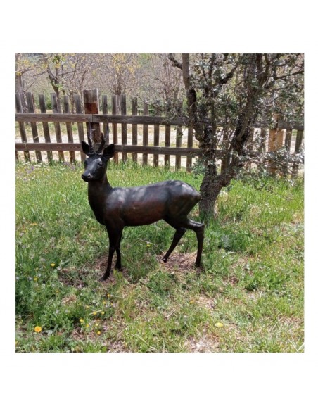 CORZO GRANDE