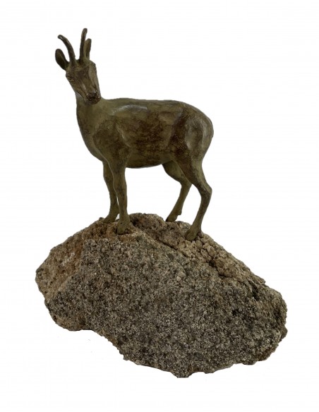 REBECO EN PIEDRA