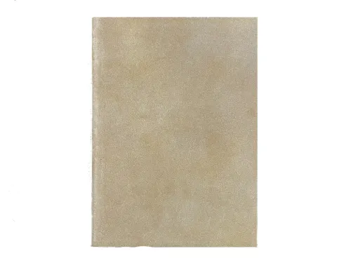 DIARIO SERRAJE VENADO 2
