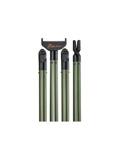 APOYO BUSH ESSENTIAL GREEN