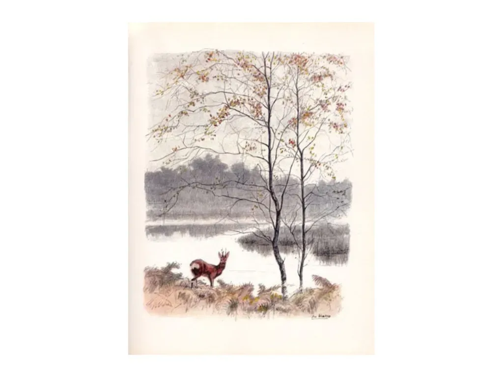 Libro Le Chevreuil (el corzo)