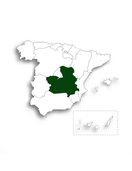 Licencia Castilla-La Mancha