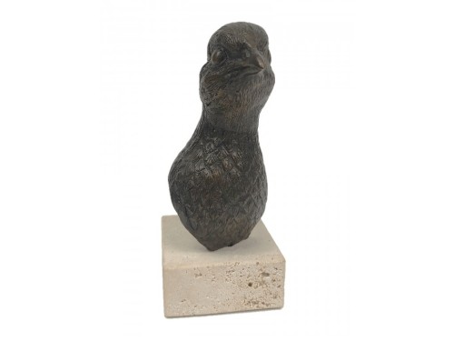 CABEZA PERDIZ