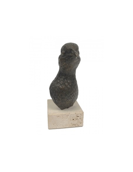 CABEZA PERDIZ