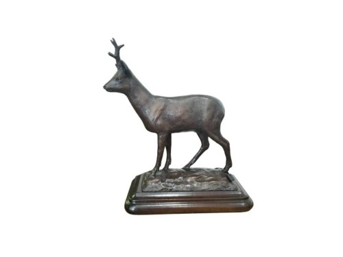 BRONCE CORZO X