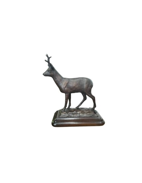 BRONCE CORZO X
