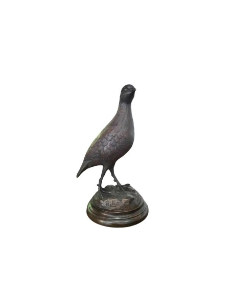 PERDIZ MARRON