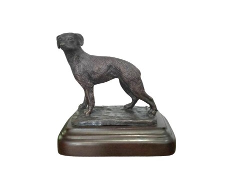SPANIEL BRETON