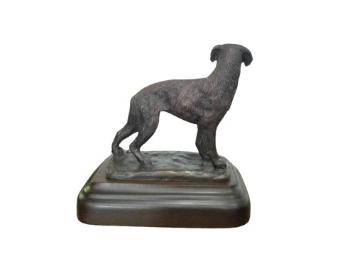SPANIEL BRETON 2