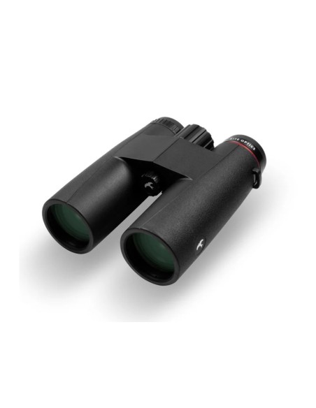 Binocular KITE URSUS 10X42