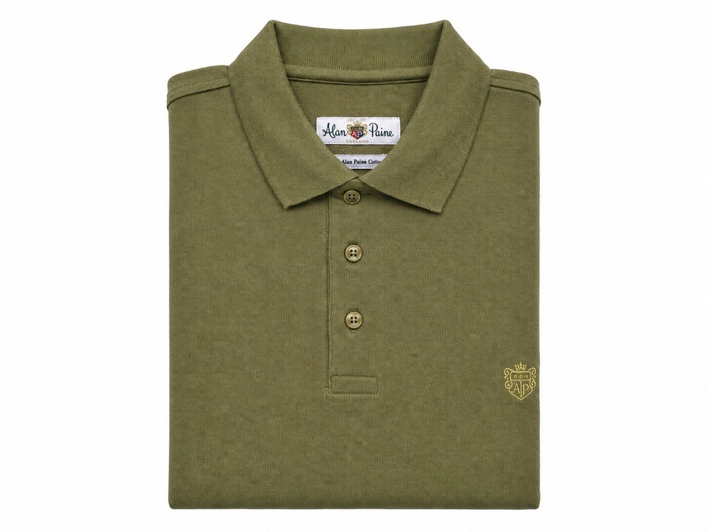 POLO PIQUÉ ALAN PAINE