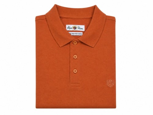 POLO PIQUÉ ALAN PAINE