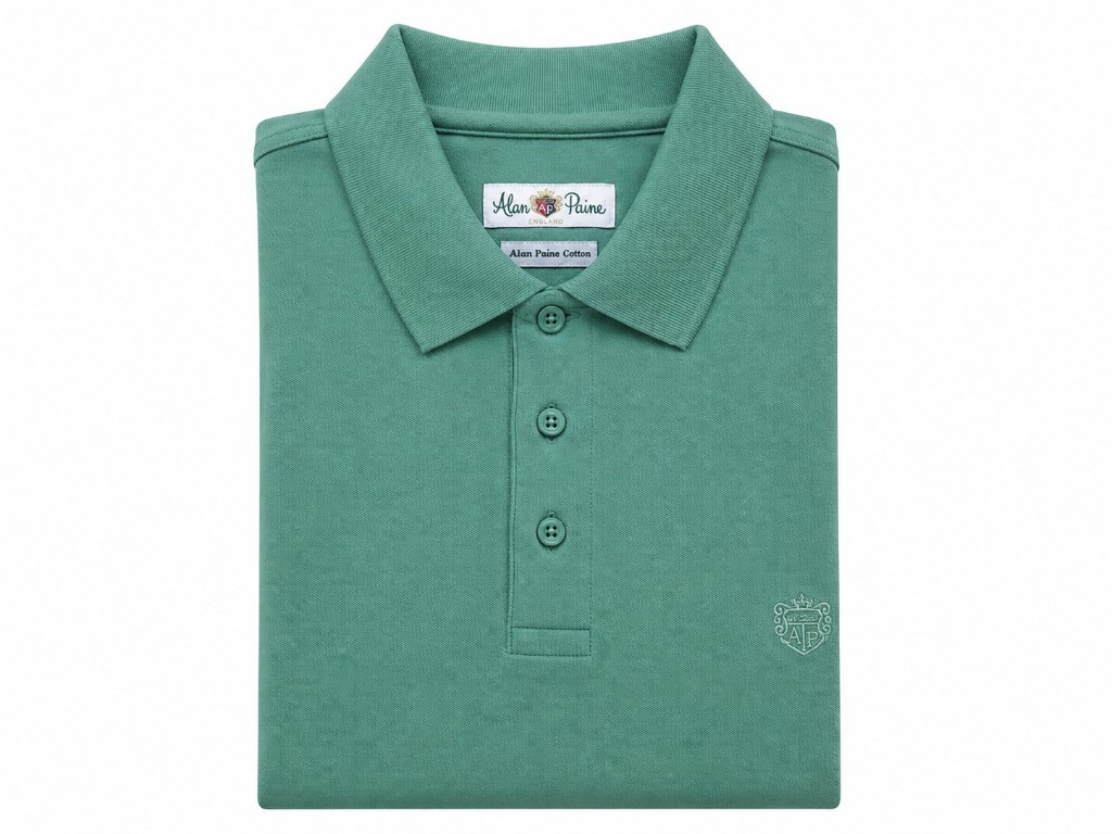 POLO PIQUÉ ALAN PAINE