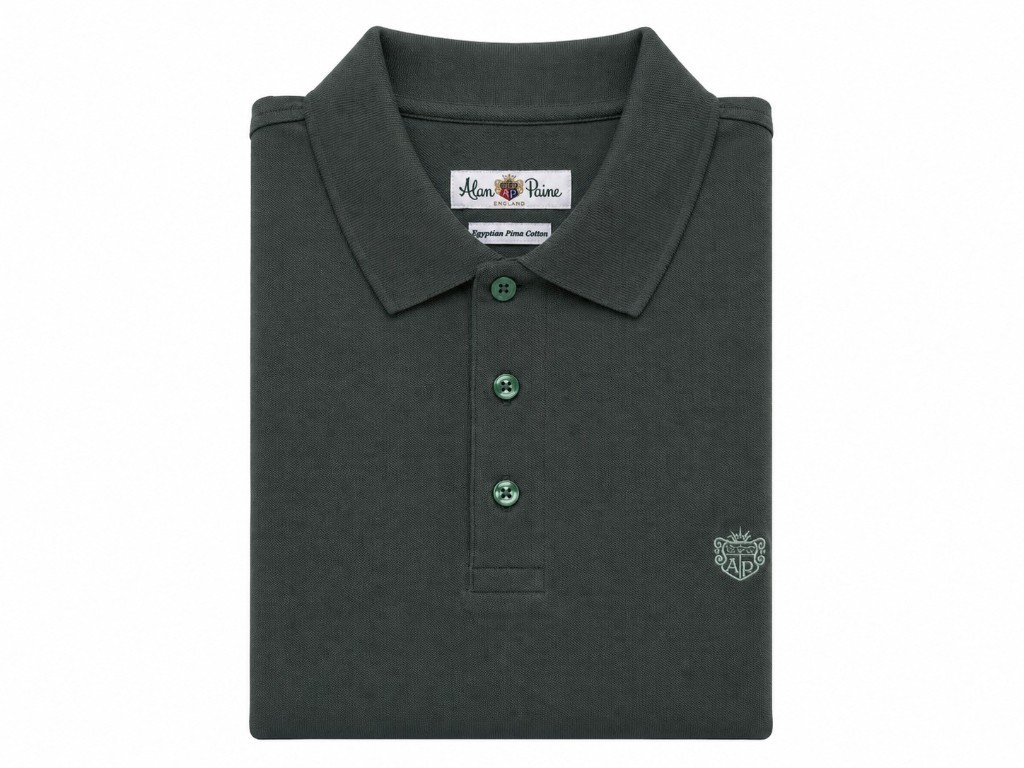POLO PIQUÉ ALAN PAINE