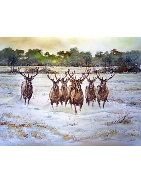 ACUARELA 50X57