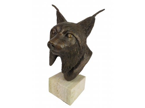 CABEZA LINCE GRANDE 2