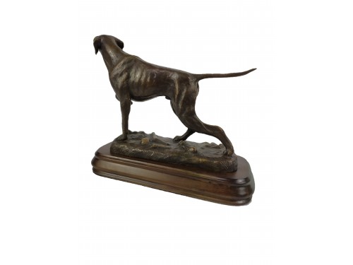POINTER GRANDE 2