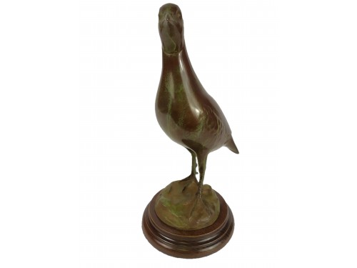PERDIZ VERDE PULIDA 2