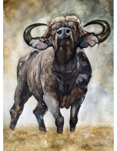 ACUARELA 50X57