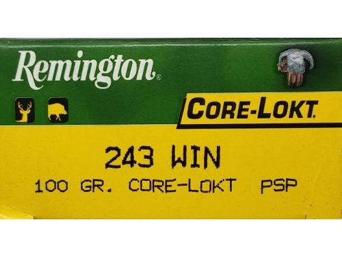 REM 243 PSP 100GR C-LOKT 2