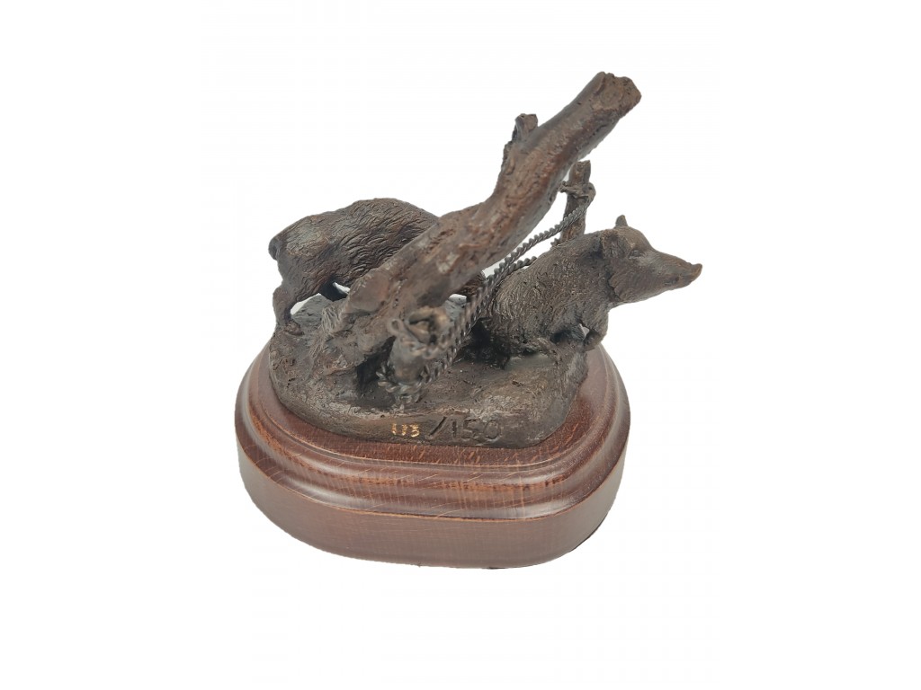 BRONCE GATERA