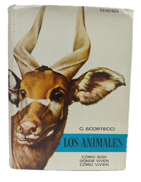 Los animales