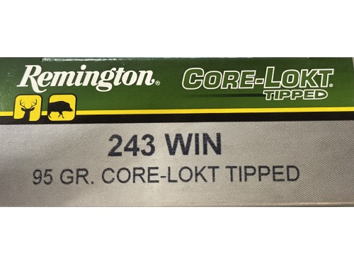 REM 243 W 95 G CL TIPPED 2
